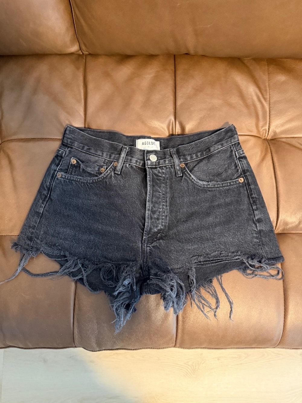 Agolde Parker Shorts